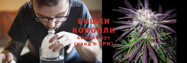 дживик Нея
