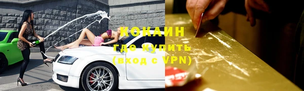 дживик Нея