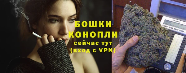 дживик Нея