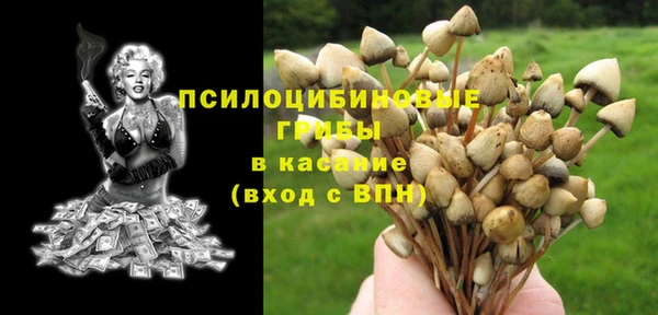 дживик Нея