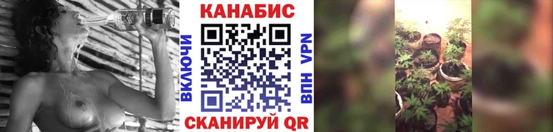 Шишки марихуана сатива Стародуб