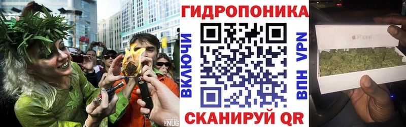 Шишки марихуана Amnesia  где найти наркотики  Стародуб 